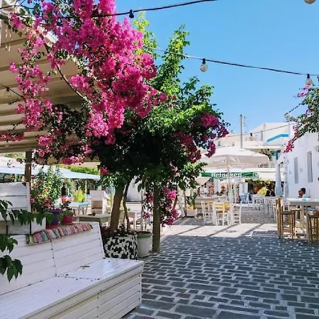 Zoes 아파트 코스 타운